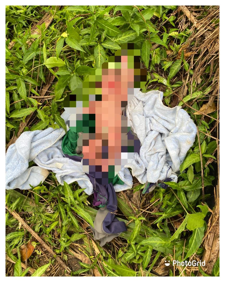 Bayi lelaki masih hidup ditemui di celah pelepah sawit