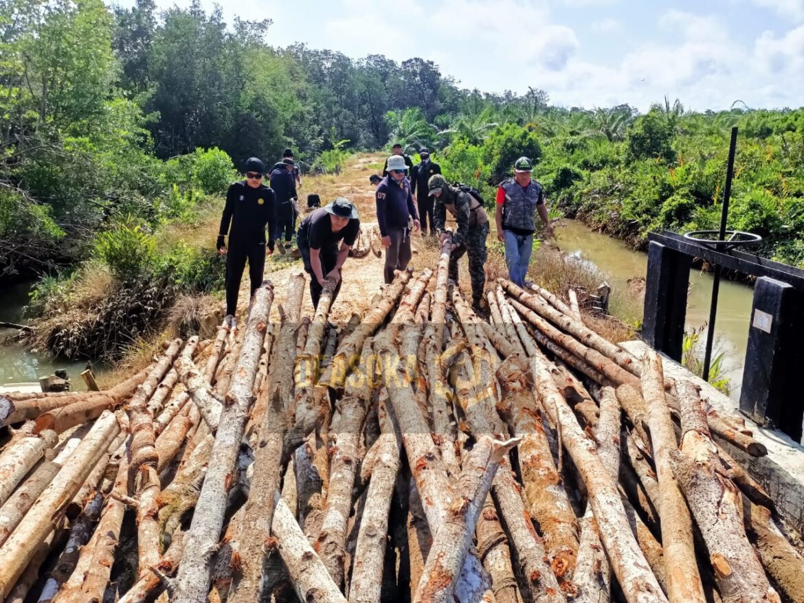 PGA bongkar kegiatan tebang kayu bakau haram