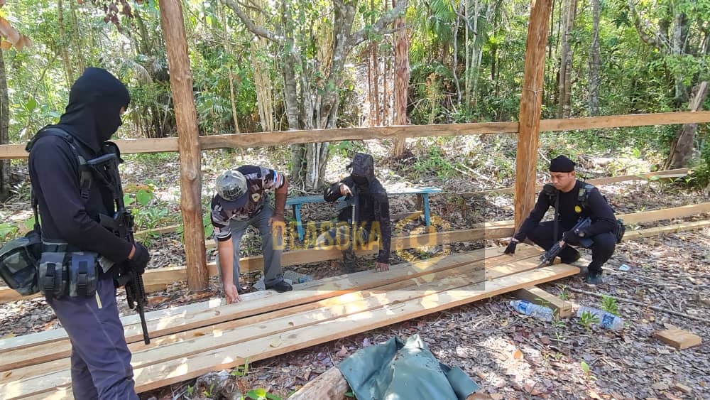 PGA Sabah rampas kayu terubah dalam Op Bersepadu Khazanah
