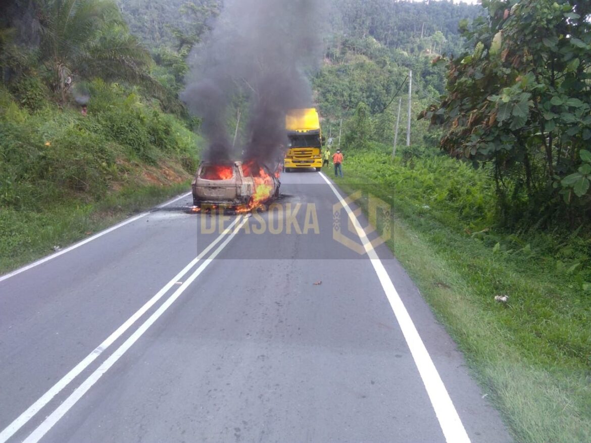 Wanita selamat, kenderaan MPV terbakar
