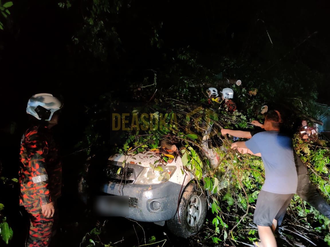 5 kenderaan rosak dihempap pokok tumbang
