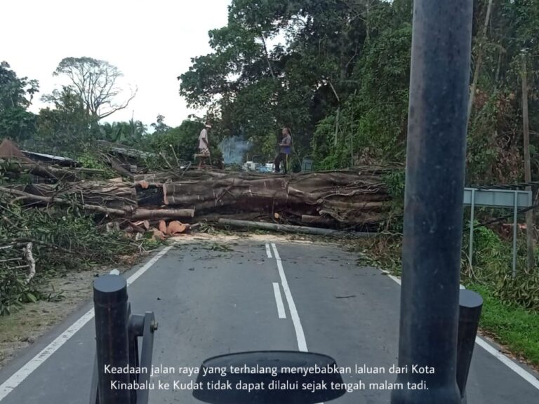 WhatsApp Image 2022-02-06 at 15.21.21