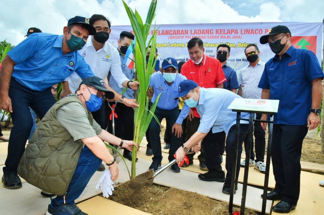 Sabah sasar kutip RM1.2 bilion setahun melalui projek tanaman kelapa