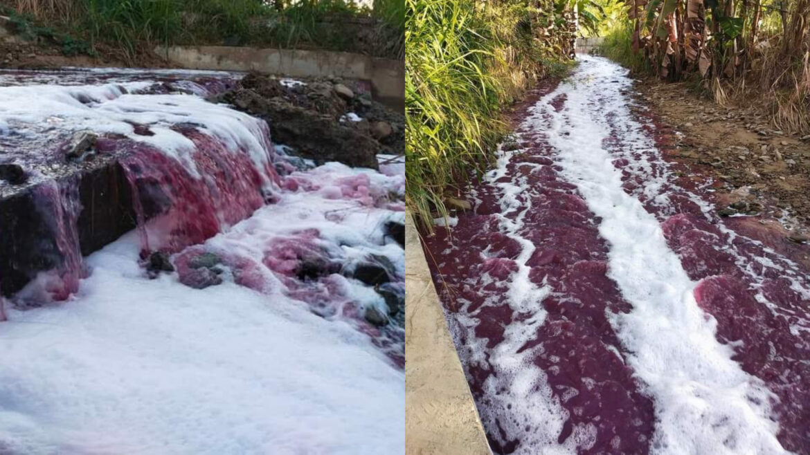 Sungai Bariawa dicemari tumpahan gam papan lapis, boleh bahayakan kesihatan