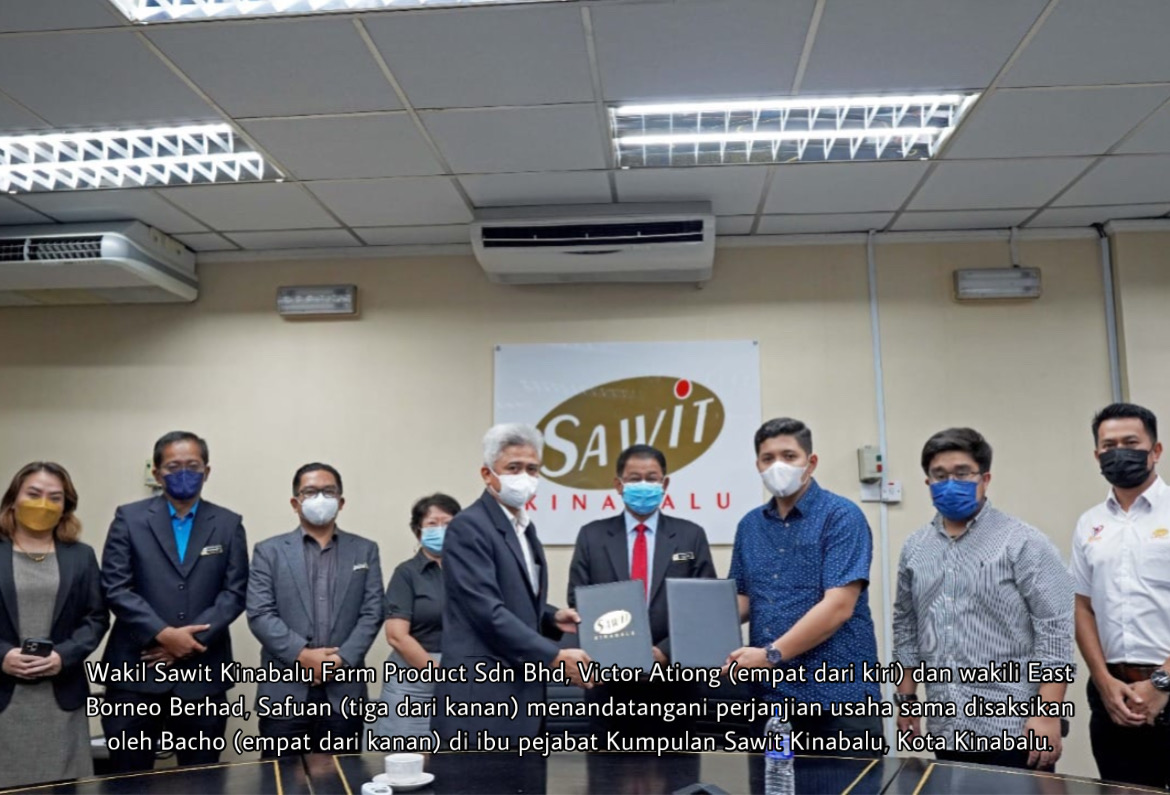Sawit Kinabalu jadi perintis industri sarang burung walit