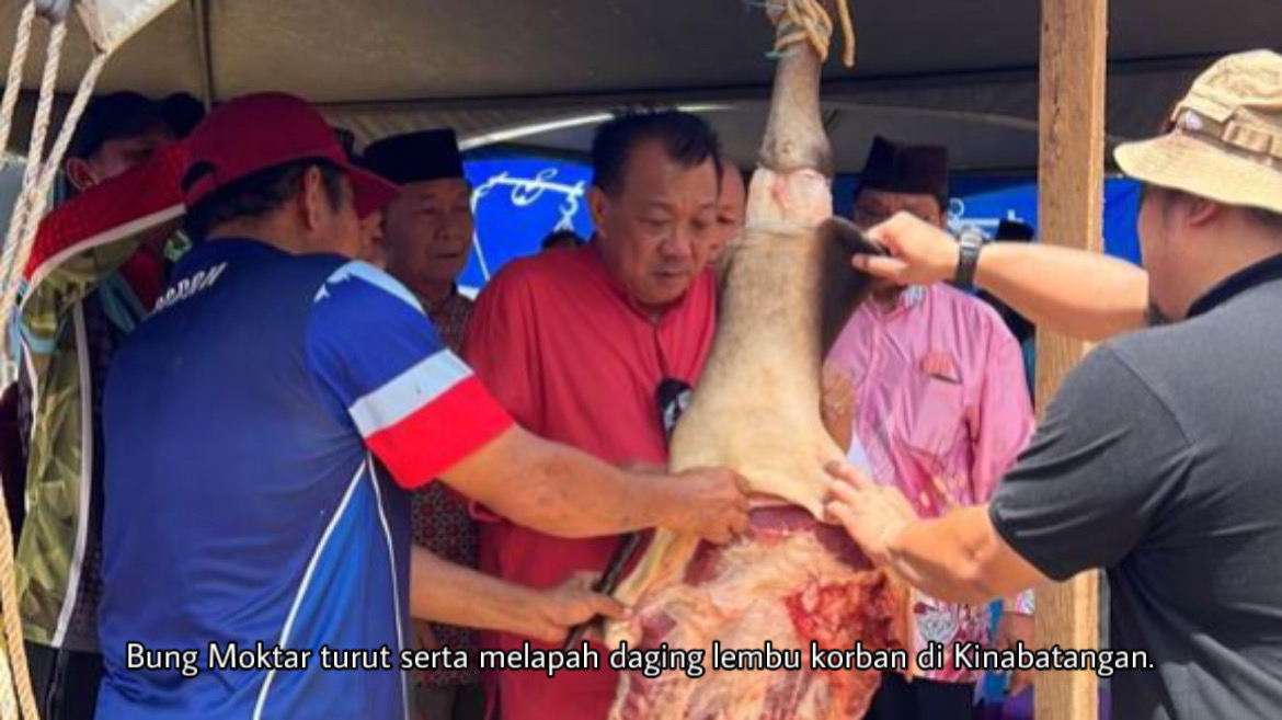 Bung Moktar sumbang 29 lembu korban di Kinabatangan