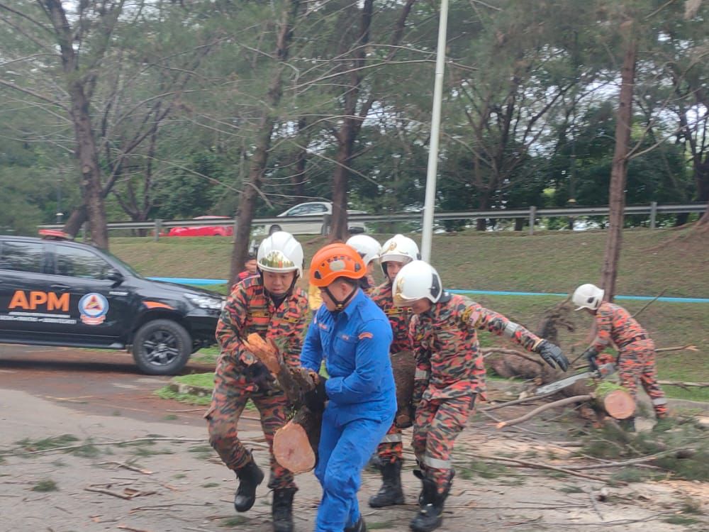 40 kes pokok tumbang dilaporkan dalam tempoh 24 jam
