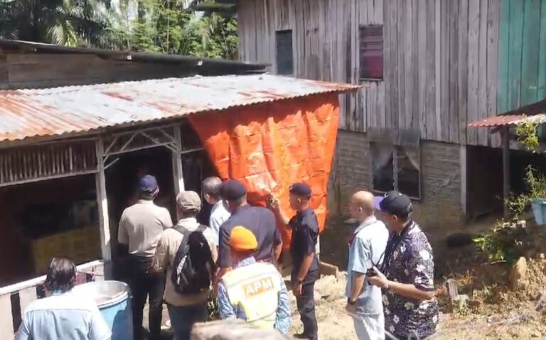 WhatsApp Image 2024-05-13 at 4.24.27 PM