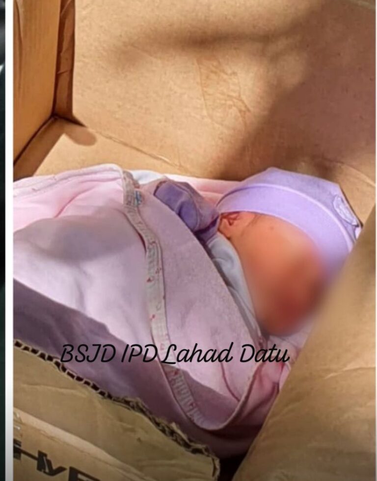WhatsApp Image 2025-08-19 at 18.24.58_efa1fd83