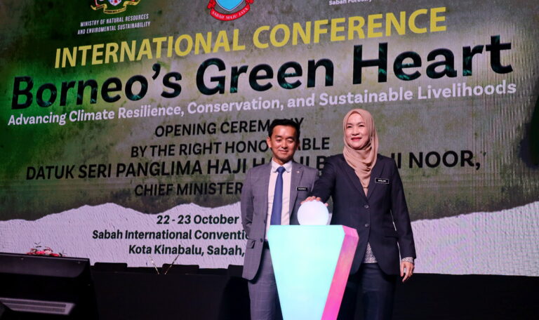 Borneo's Green 01