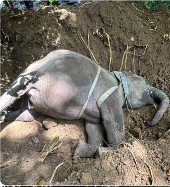 7b4740fa-7db4-4516-8d72-bd7afe4a3970