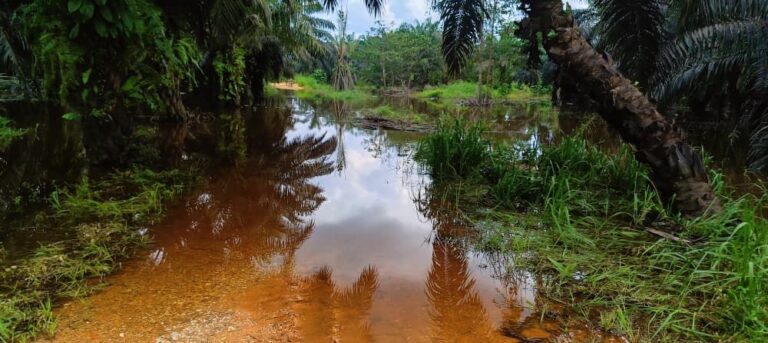 44c43fed-2bc1-4299-b4aa-4511e1192333