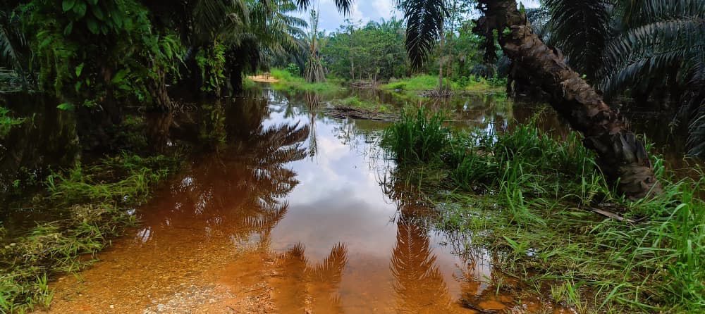 44c43fed-2bc1-4299-b4aa-4511e1192333