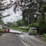 7735633f-065f-4a63-8088-bb06600d3b76