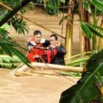 d372d61e-c07f-4fff-ad29-f539b5b4524f