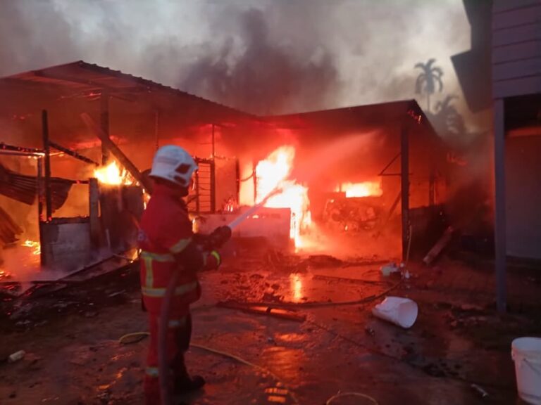 ed69f86d-7b75-495c-8c65-d375a74e9e8f